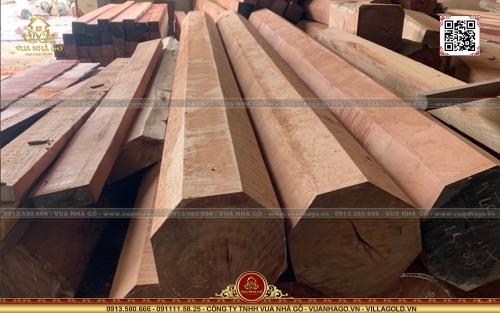 Top 10 loại gỗ đắt nhất Việt Nam Được Vua Nhà Gỗ Liệt Kê 2024